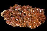 Gorgeous, Ruby Red Vanadinite Crystal Cluster - Morocco #127660-1